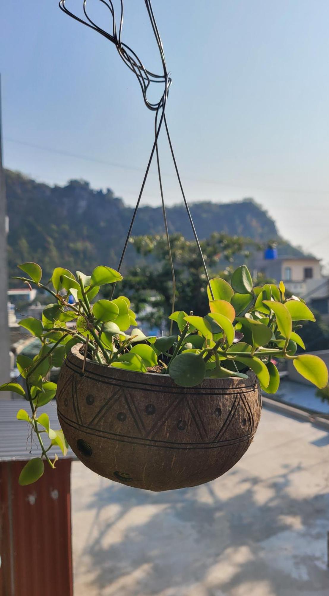 Tiny Garden House Cat Ba Hotel Chan Chau Екстериор снимка