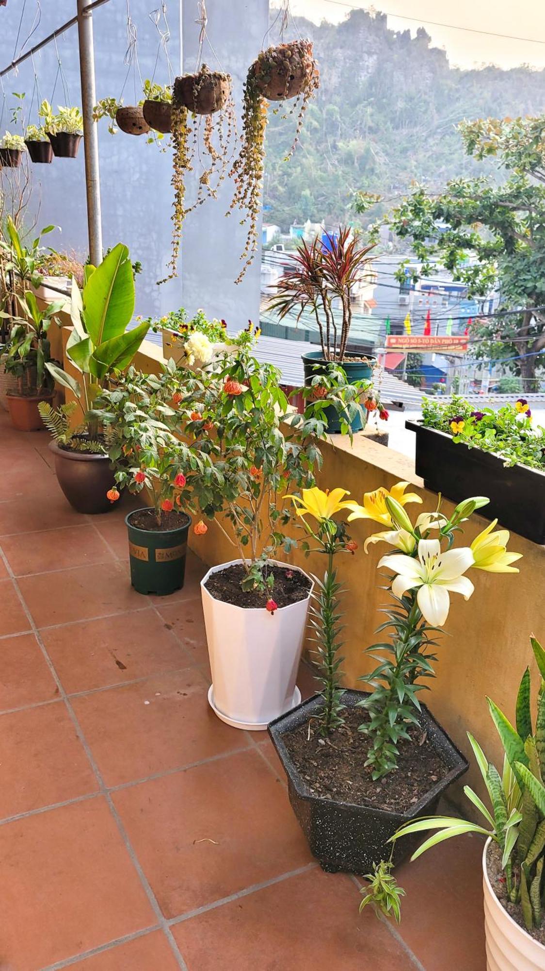 Tiny Garden House Cat Ba Hotel Chan Chau Екстериор снимка