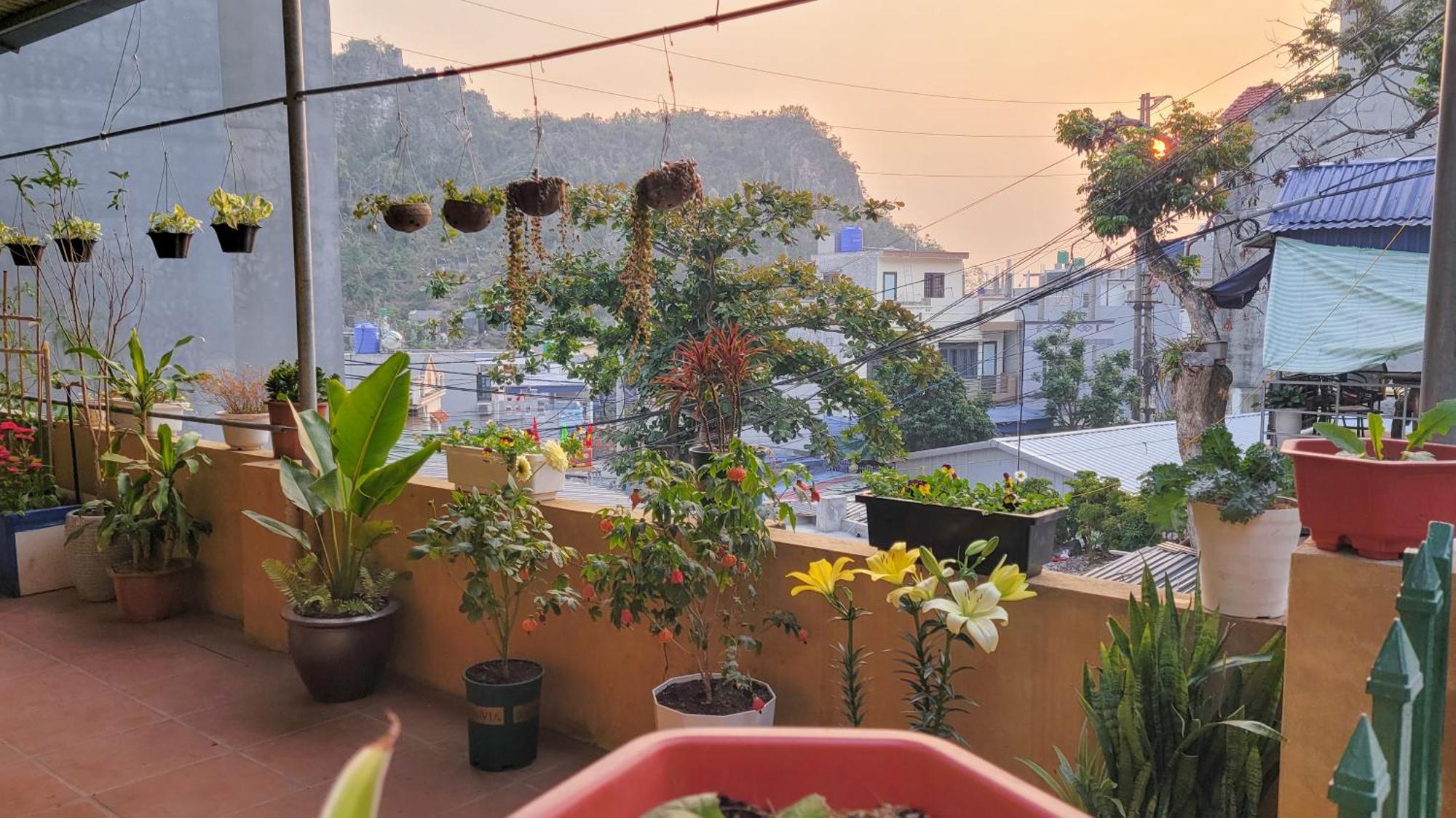 Tiny Garden House Cat Ba Hotel Chan Chau Екстериор снимка
